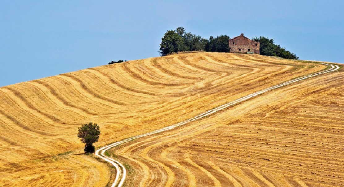 Paesaggio collinare delle Marche con campi coltivati e casali rurali